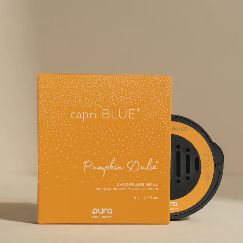 Pumpkin Dulce Pura Car Refill
