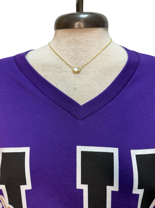 Panther Glitter V Neck Tee