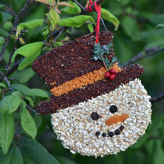 Christmas Birdseed Cookie