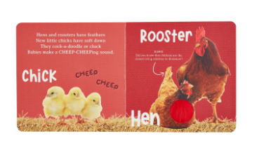 Hear and Feel Farm Book