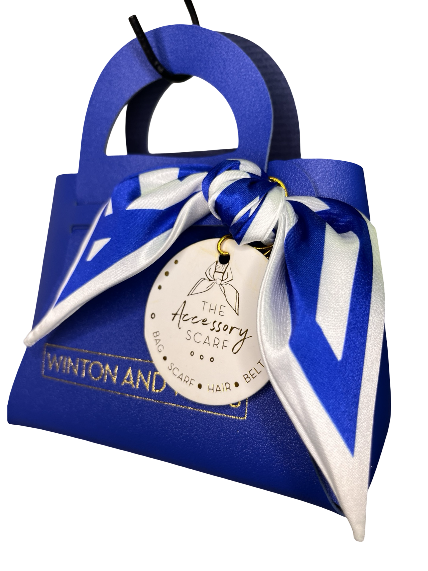 Accessory Scarf Game Day Blue & White