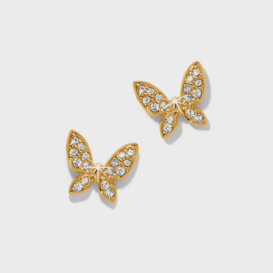 Enchanting Butterfly Post Earrings Gold
