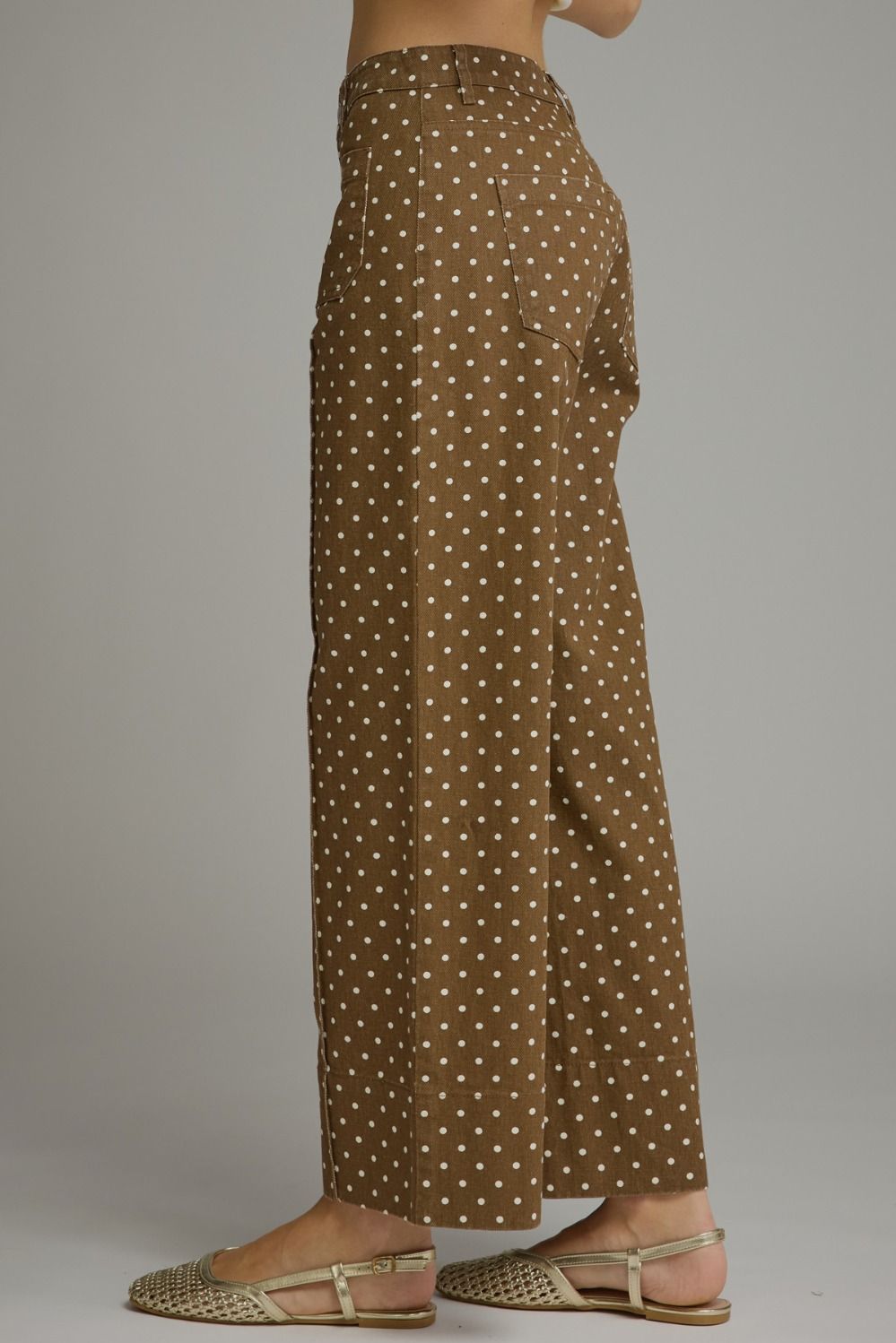 Polka Dot Pants Brown