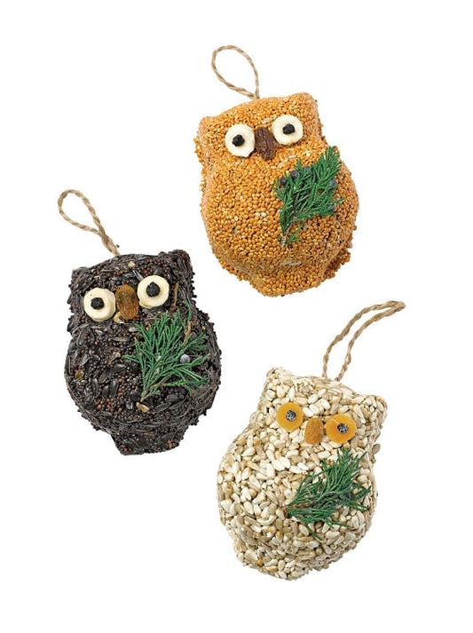 Ollie the Owl Birdseed Treat