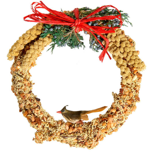 Rustic Wreath Birdseed Treat 10"