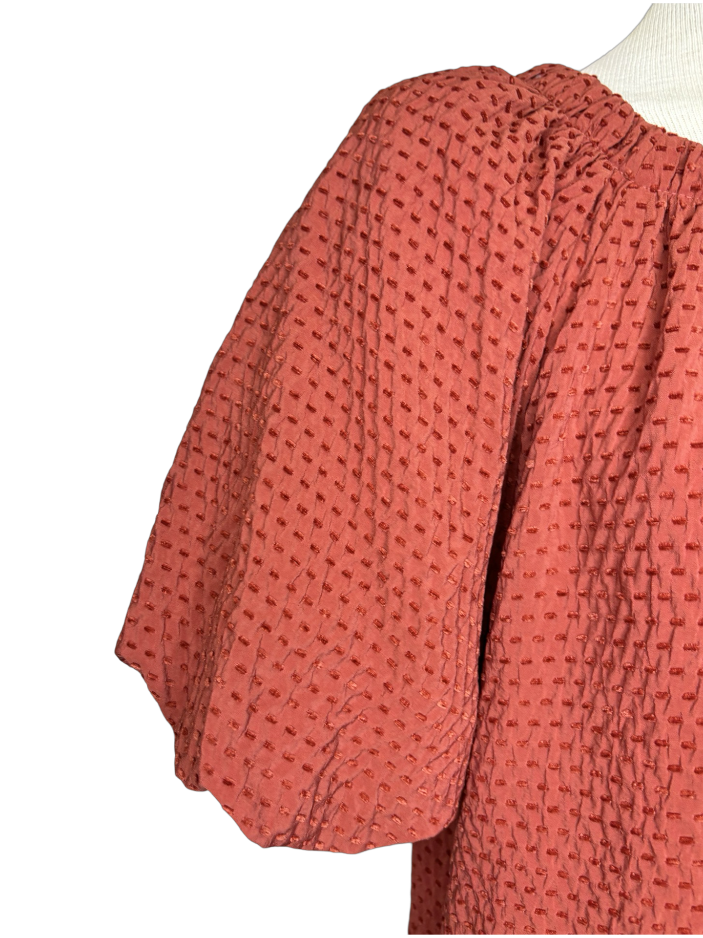 Tie in the Back Dress Rust
