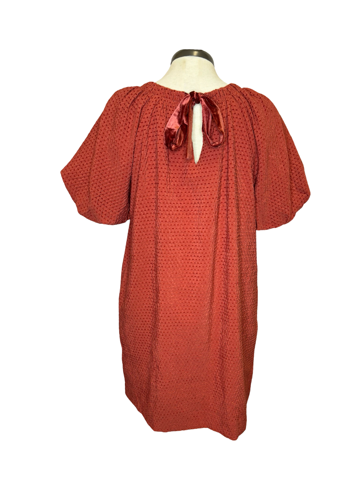 Tie in the Back Dress Rust