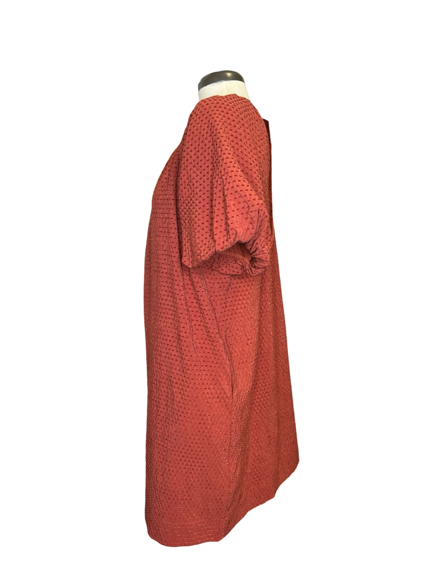 Tie in the Back Dress Rust