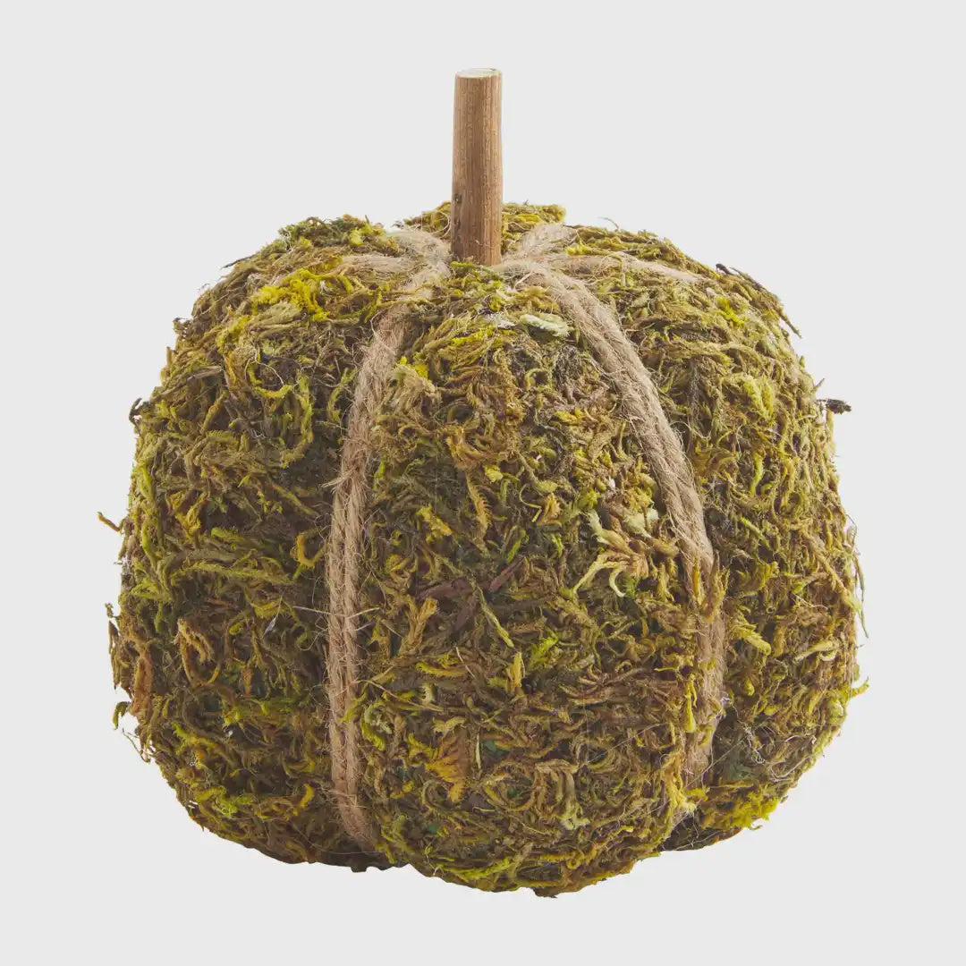 Medium Moss Pumpkin
