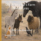 Donkey Gene's Farm Adventures Children's Book