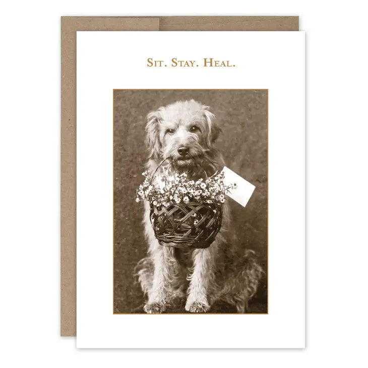 Sit Stay Heal Get Well Card