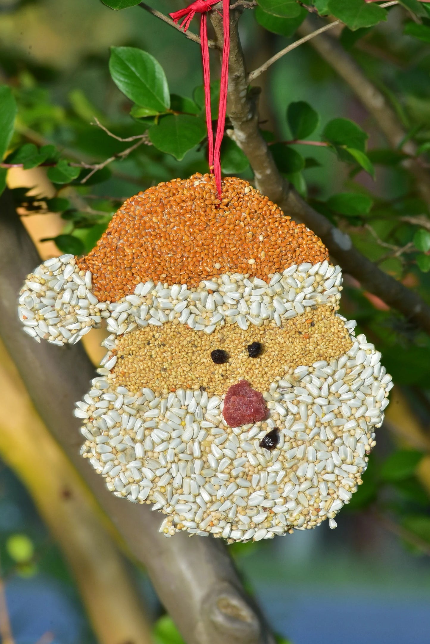 Christmas Birdseed Cookie