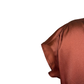 V Neck Drop Satin Blouse Brick
