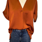 V Neck Placket Cuffs Sleeve Top Rust
