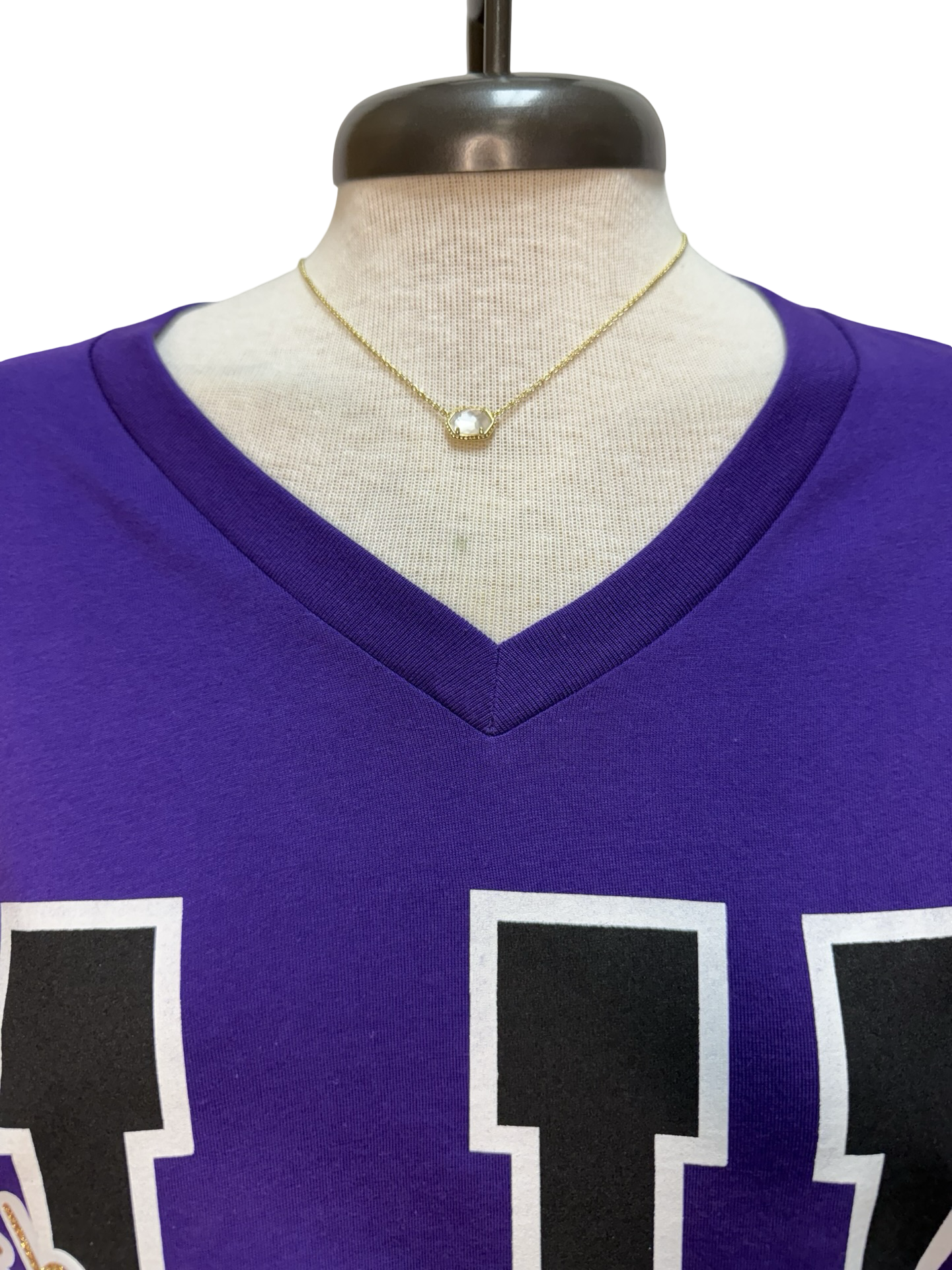 Panther Glitter V Neck Tee