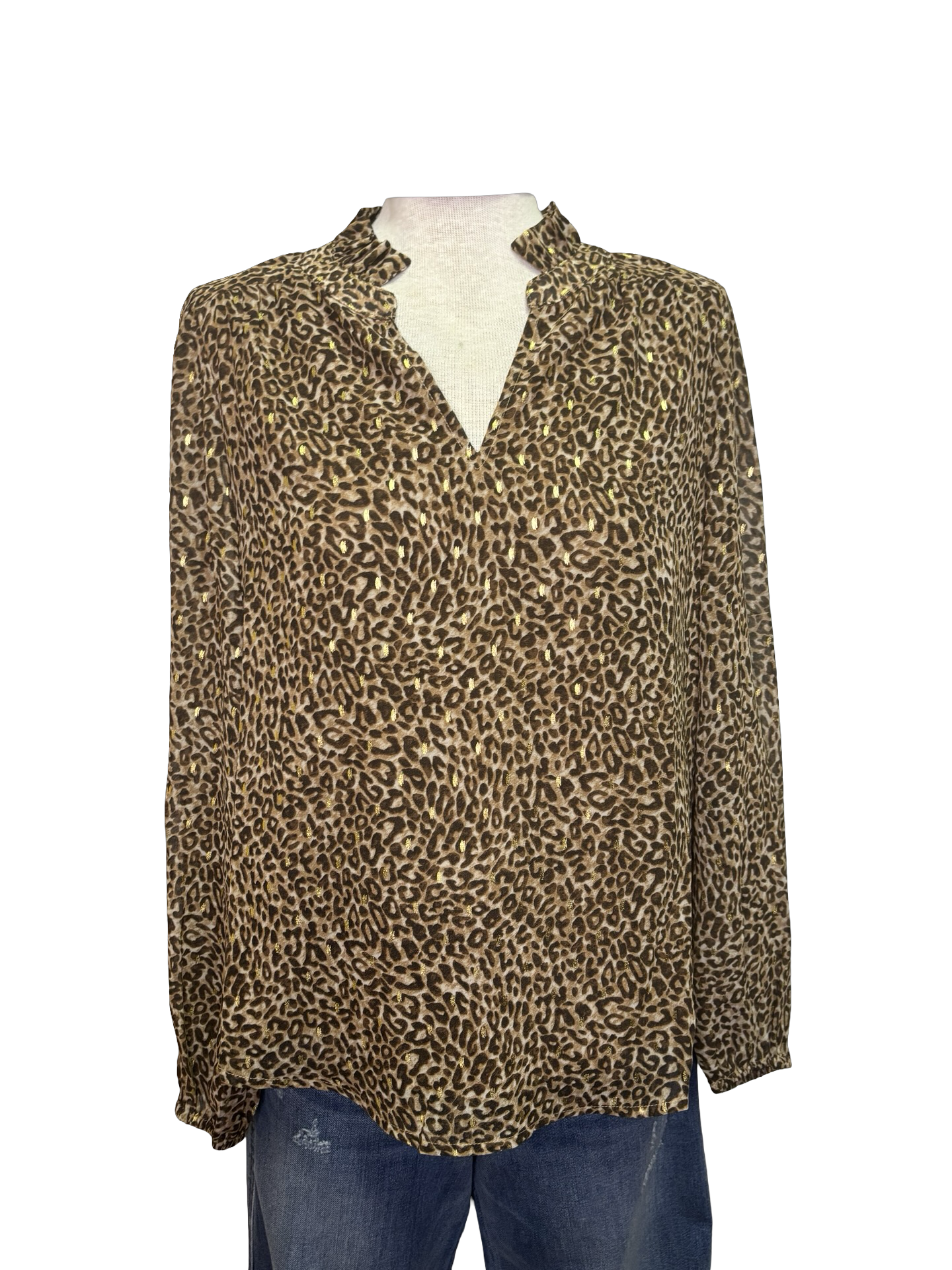 Long Puff Sleeve Leopard Top