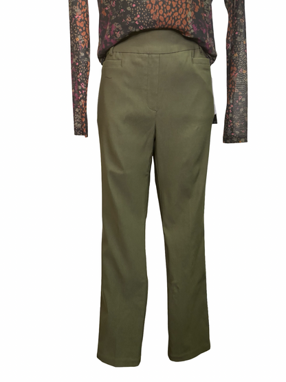 Bengaline Flatten Pull On Pants Ivy