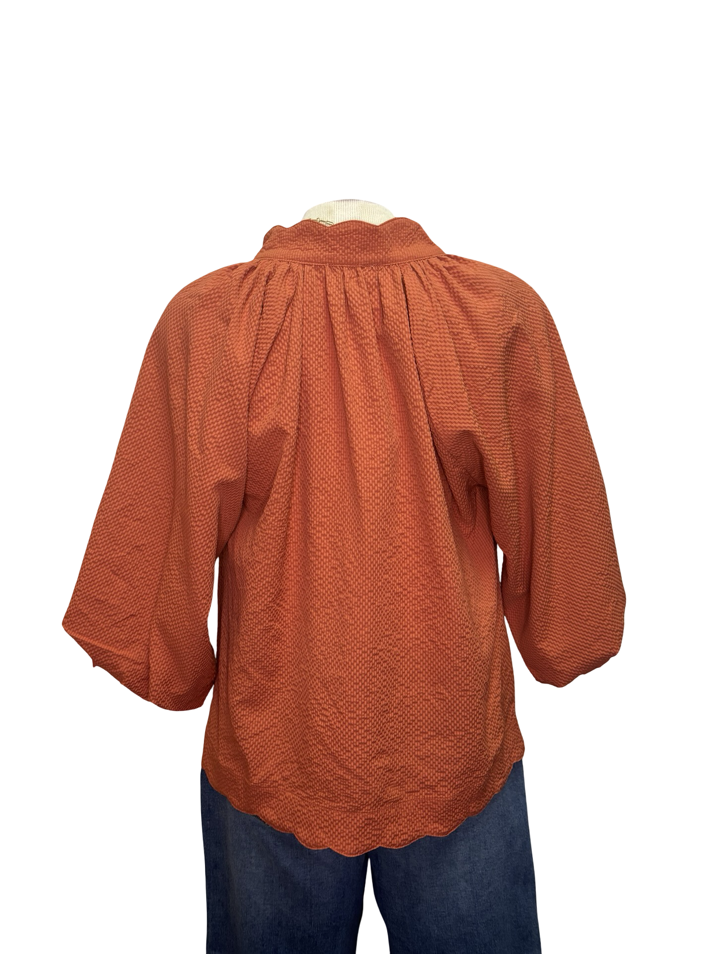 V Neck Balloon Sleeves Textured Top Rust