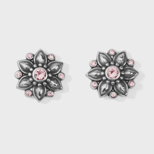 Cora Mini Post Earrings Silver