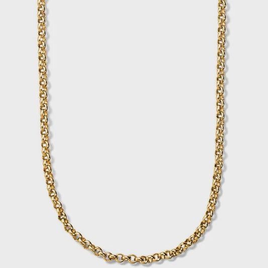 Vivi Delicate Petite Charm Necklace Gold
