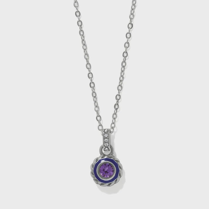 Halo Gemma Petite Round Necklace