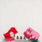 Holiday Sparkle Case