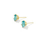 Cailin Crystal Stud Earrings Gold Aqua Crystal