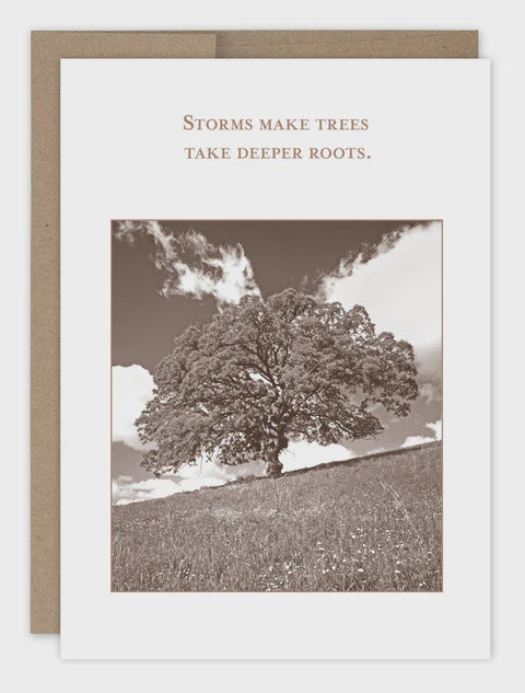 Take Deeper Roots Encouragement Greeting Card