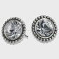 Twinkle Large Post Earrings