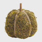 Medium Moss Pumpkin